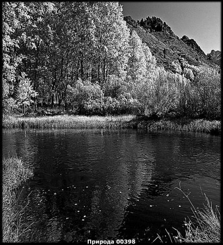 Картинка для гравировки
